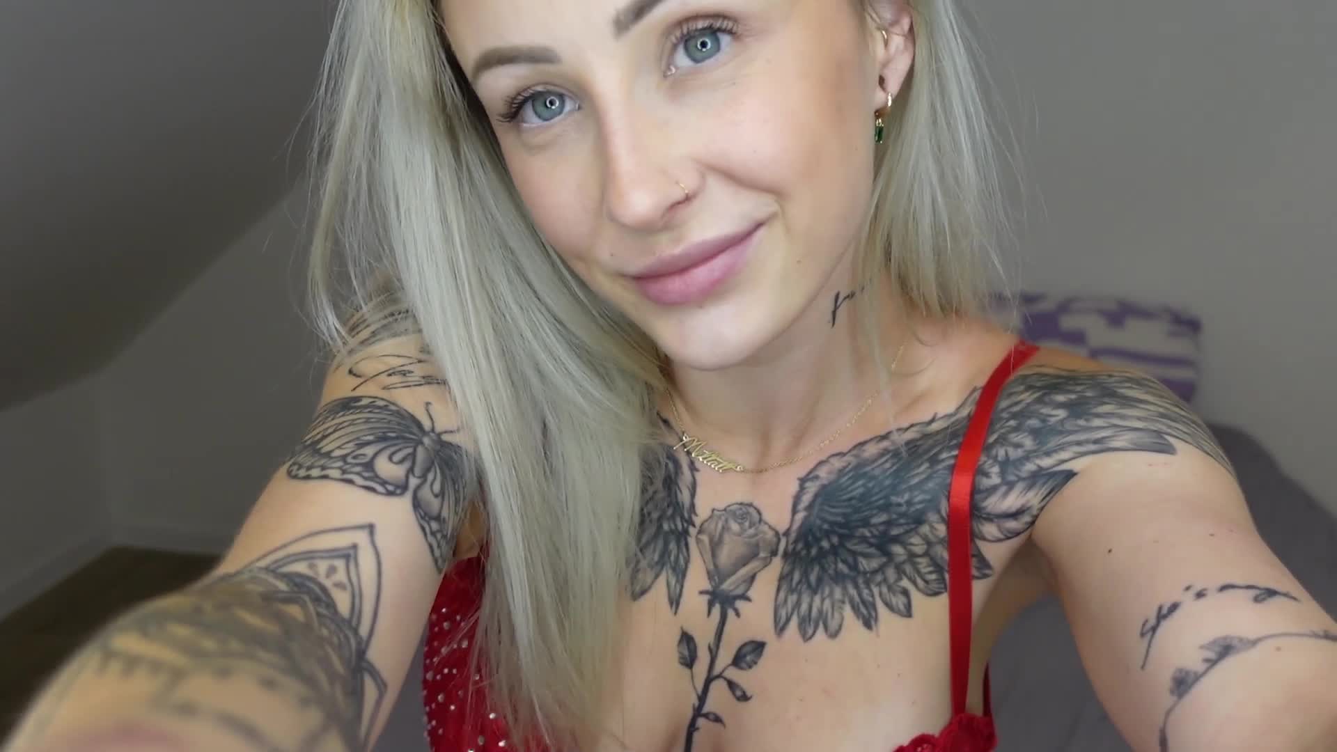 Video 1565106 from meltattx