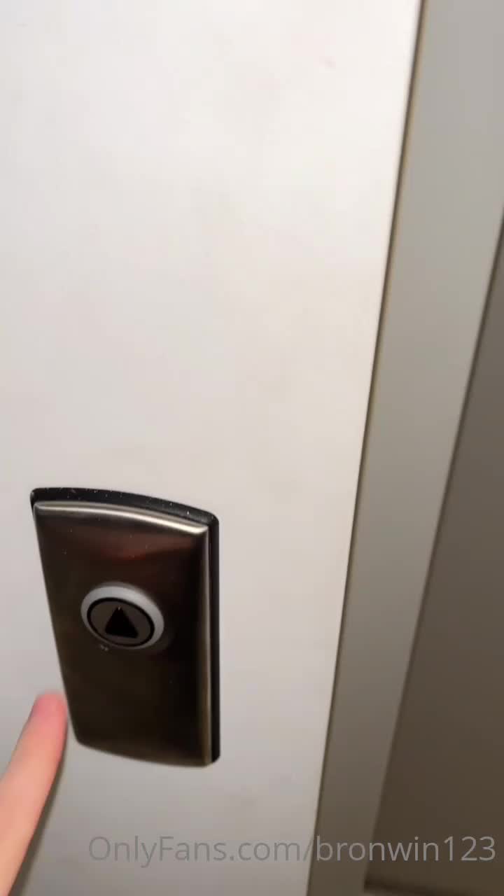 Video 1567930 from Bronwin Aurora