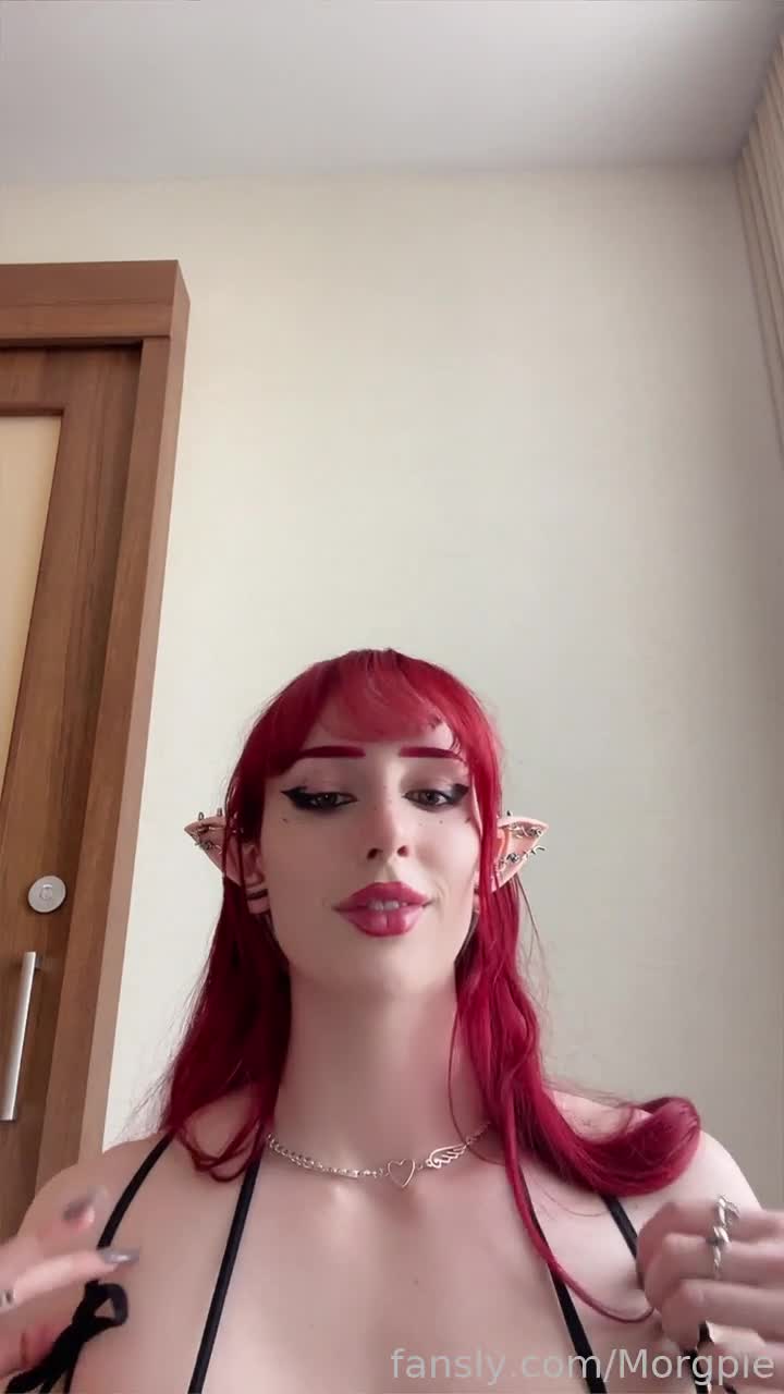 Video 1569865 from Morgpie