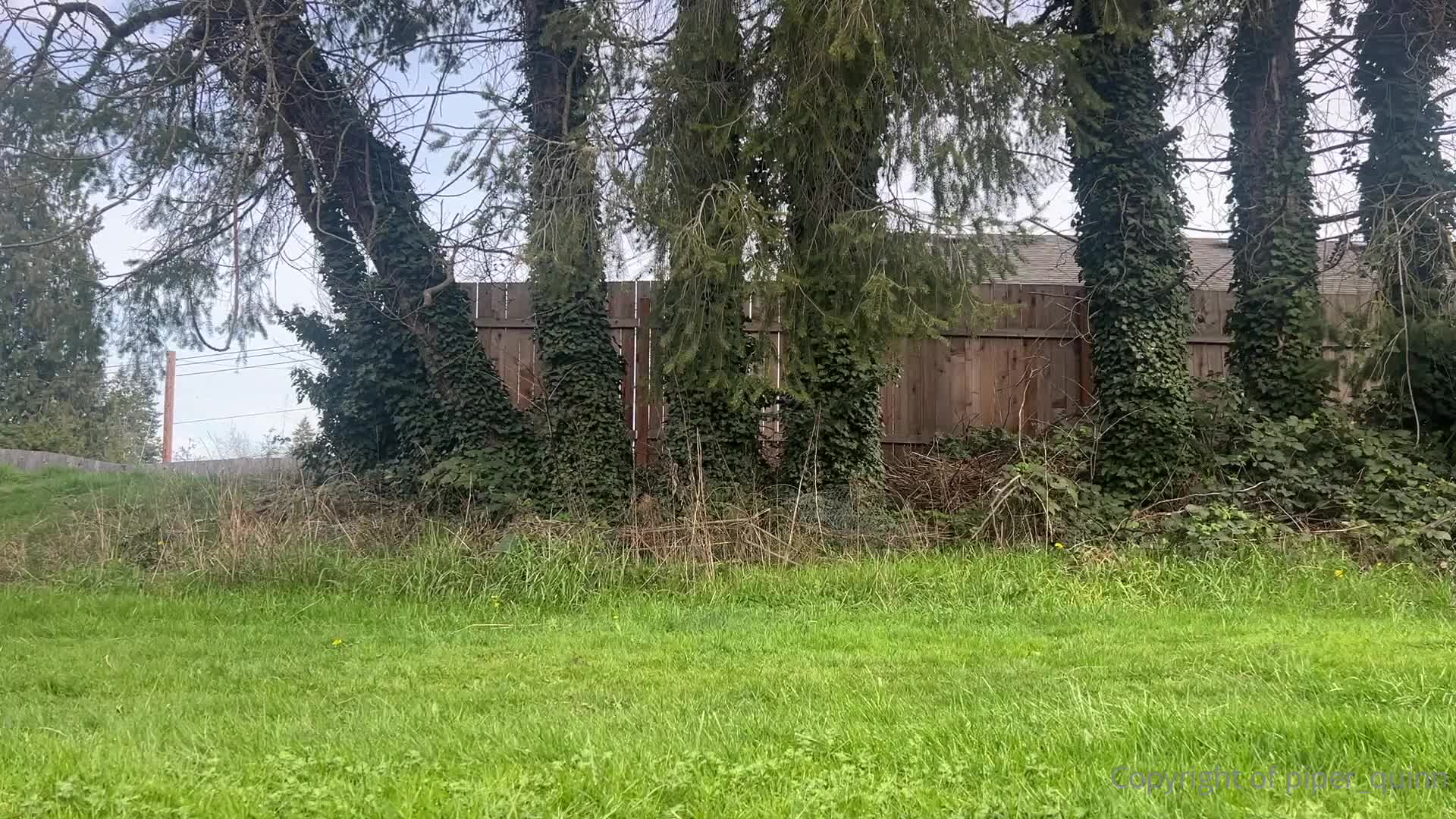 Video 1570662 from piper_quinn