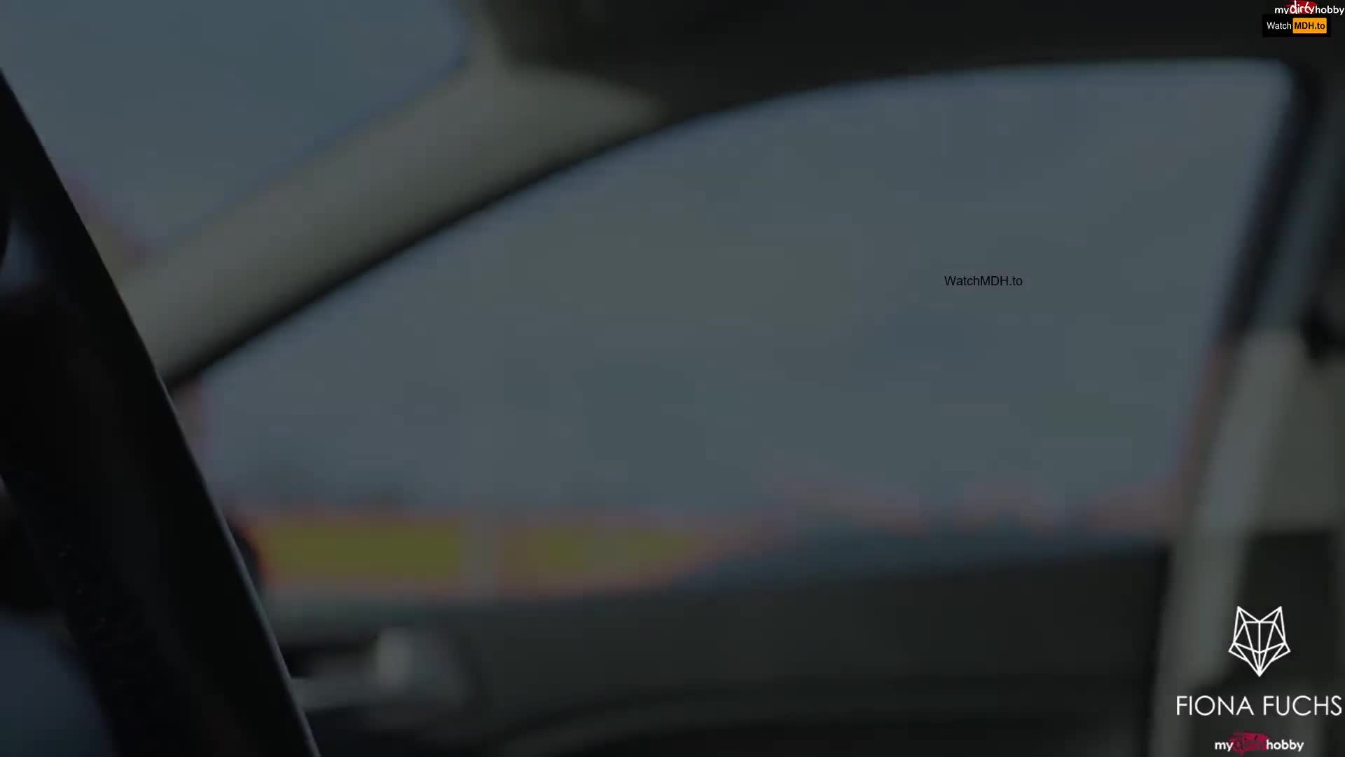 Video 1572310 from Fiona Fuchs