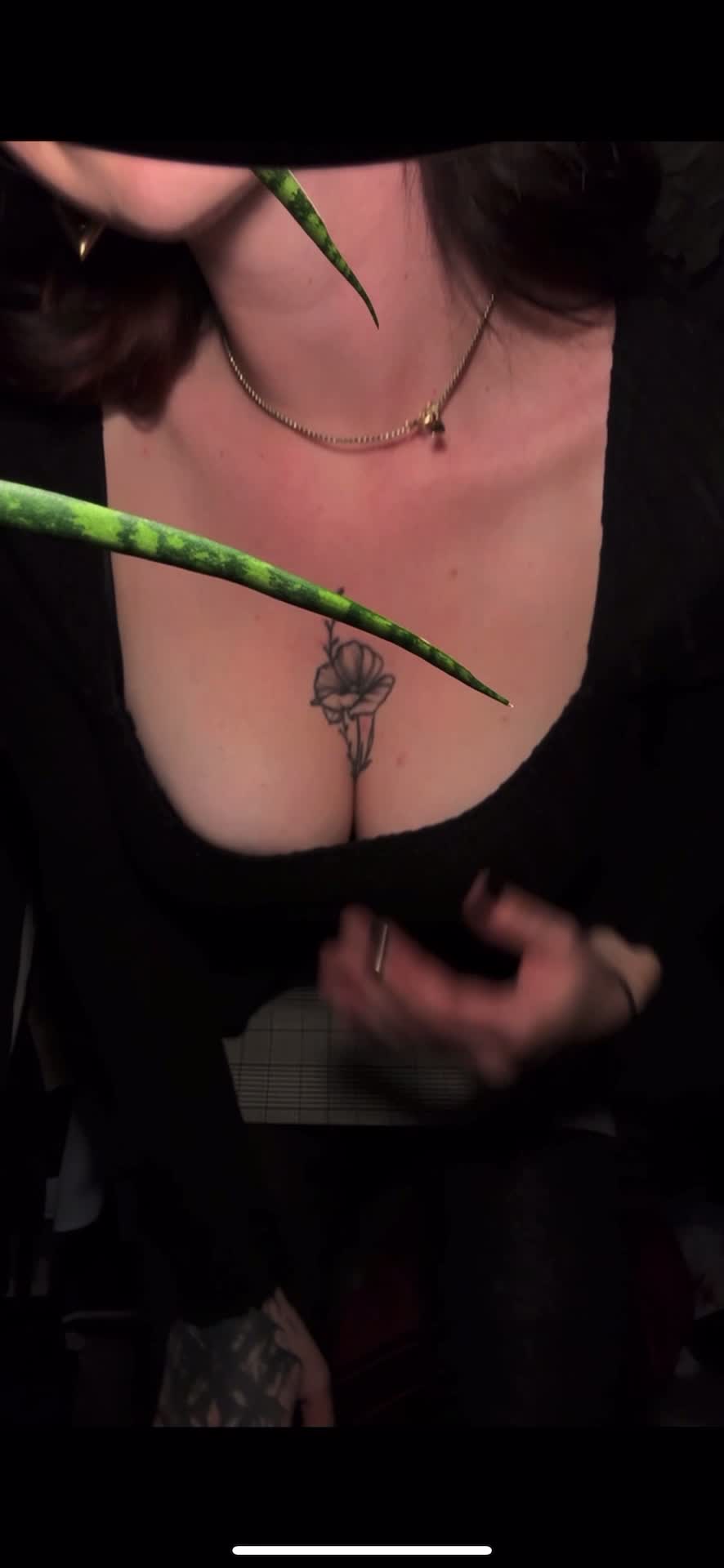 Video 1574823 from Kira-Julie