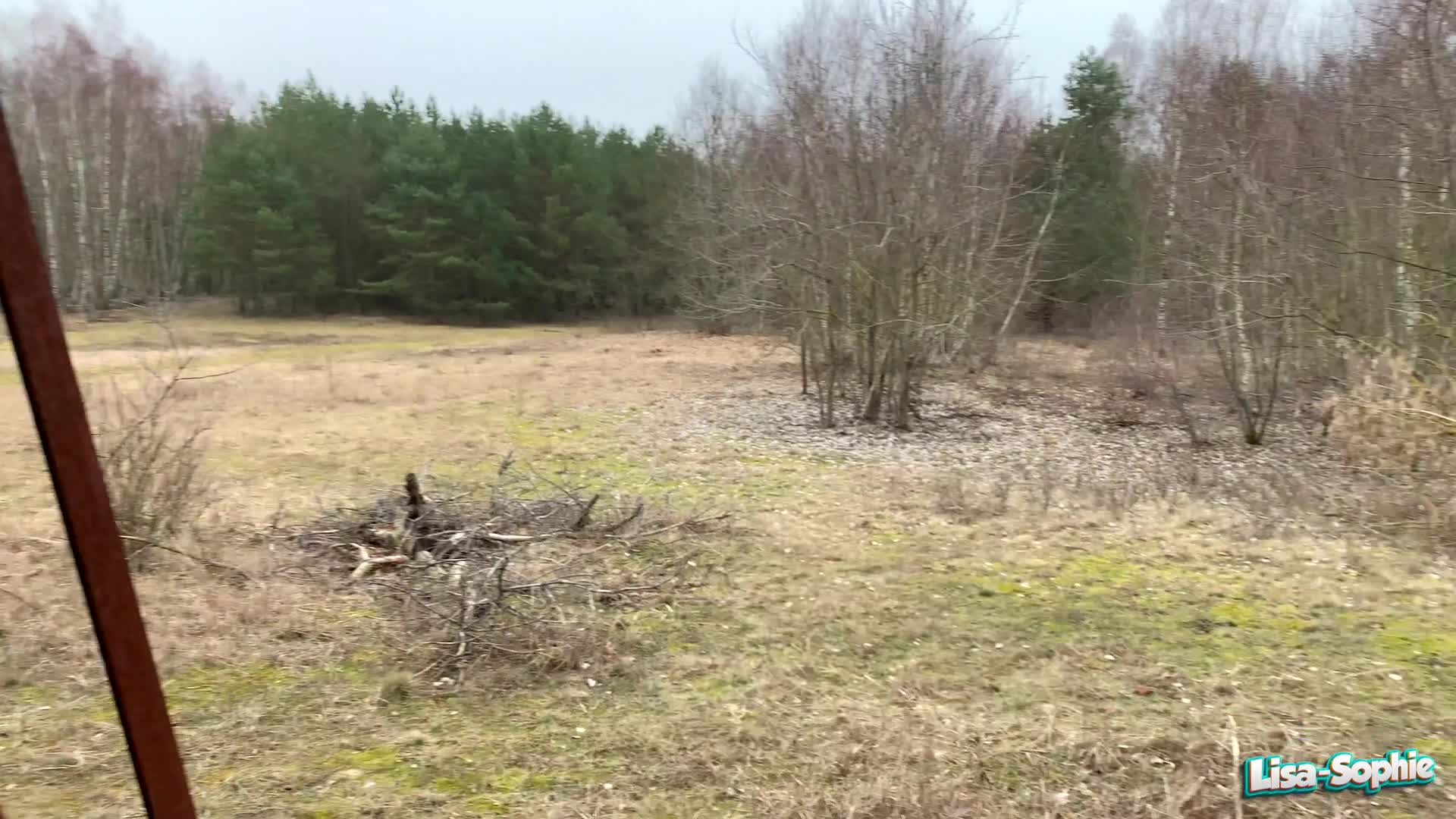 Video 1577364 from Lisa-Sophie