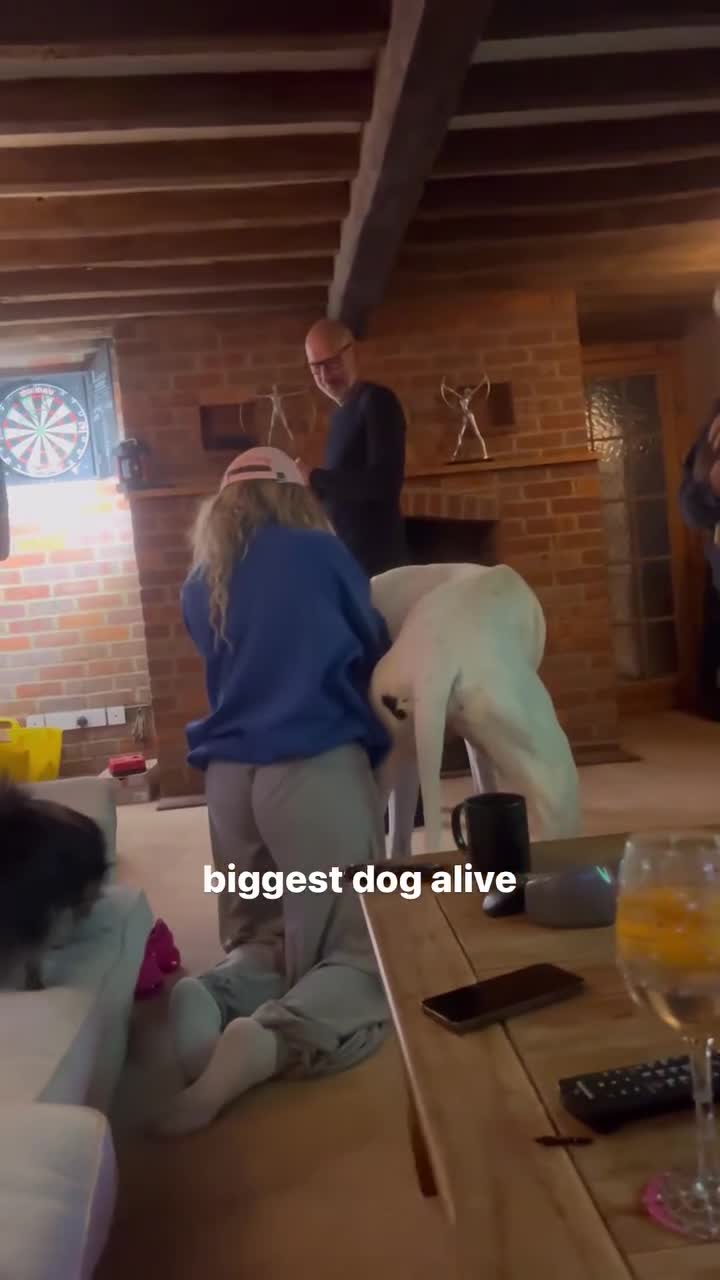 Video 1578790 from Francesca Dougan