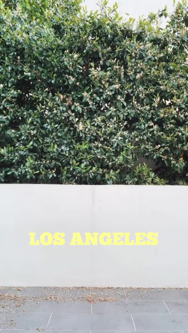 Video 1579183 from Isabella Stoisavljevic Zerpa