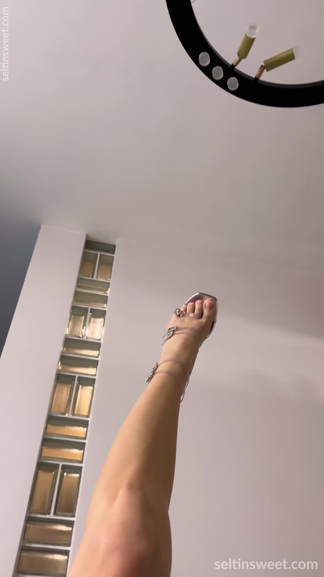 Video 1584678 from Seltin