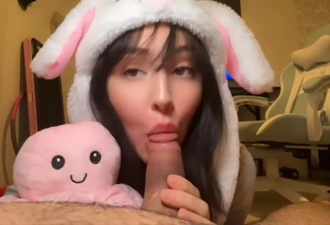 Video 1588676 from Babybearofficial