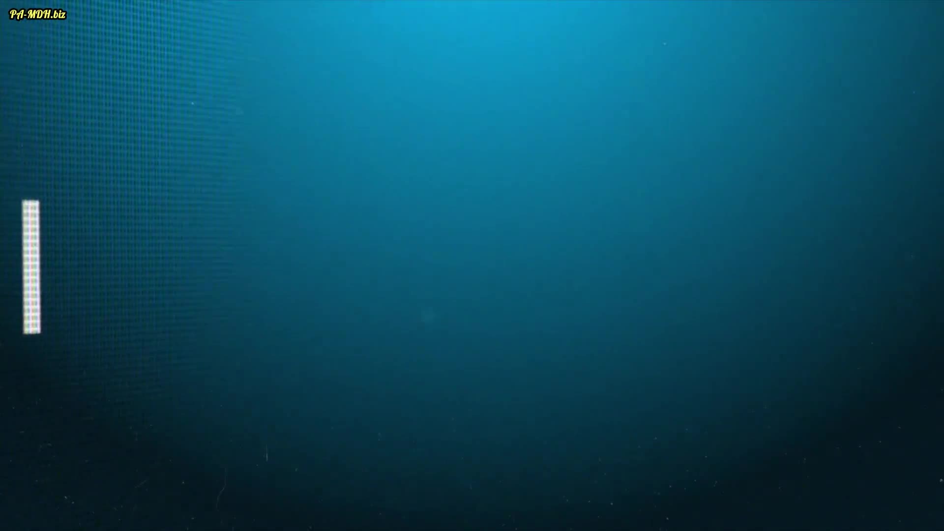 Video #1590726 thumbnail