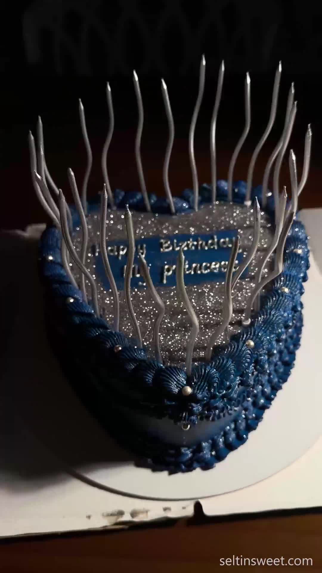 Video 1593240 from Seltin