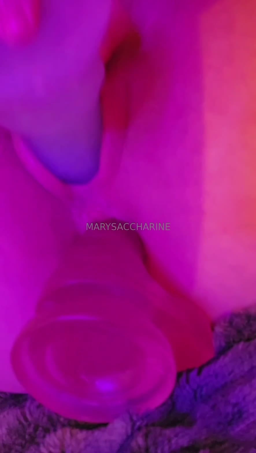 Video 1597461 from Marysaccharine