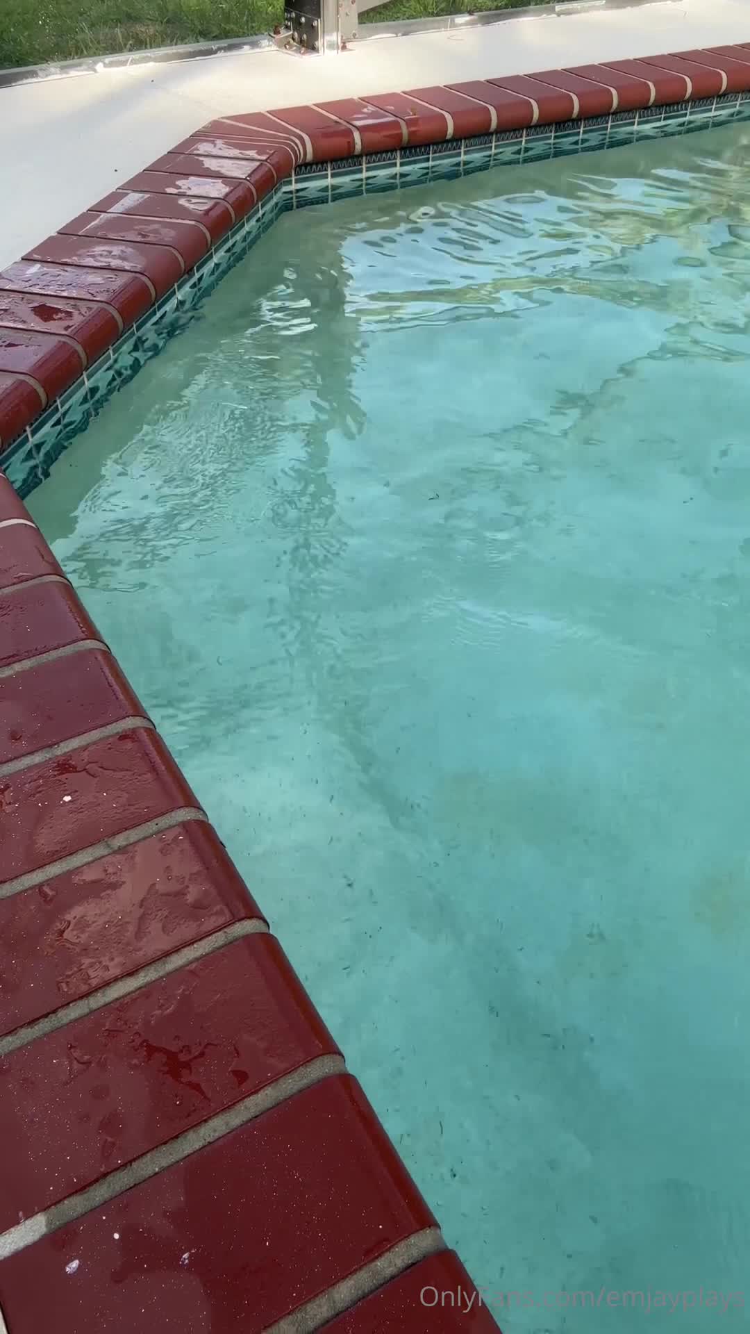 Video 1598576 from emily rinaudo