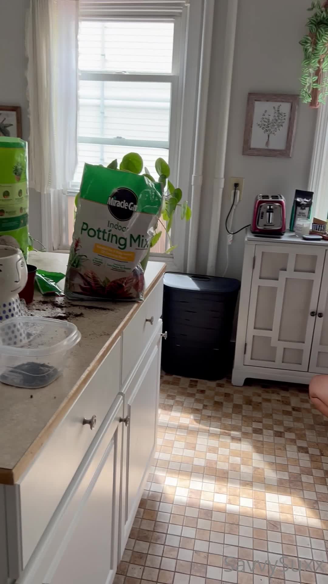 Video 1601964 from Savvy Suxx