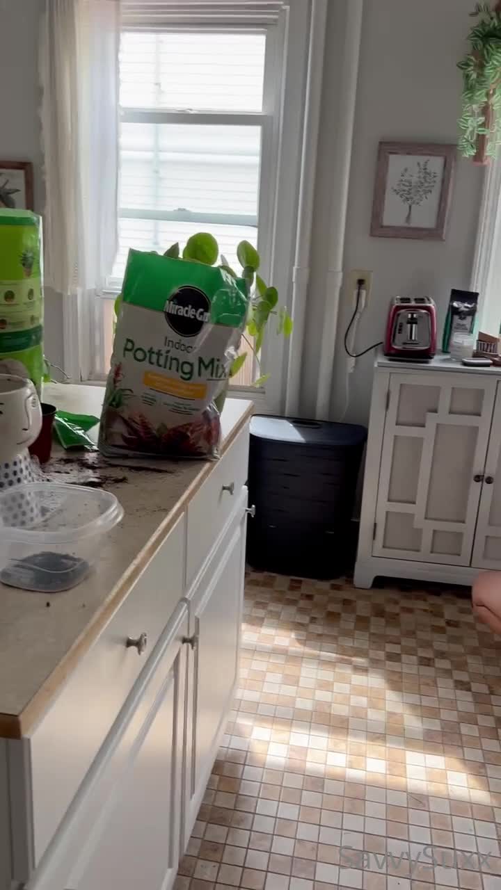 Video 1601971 from Savvy Suxx