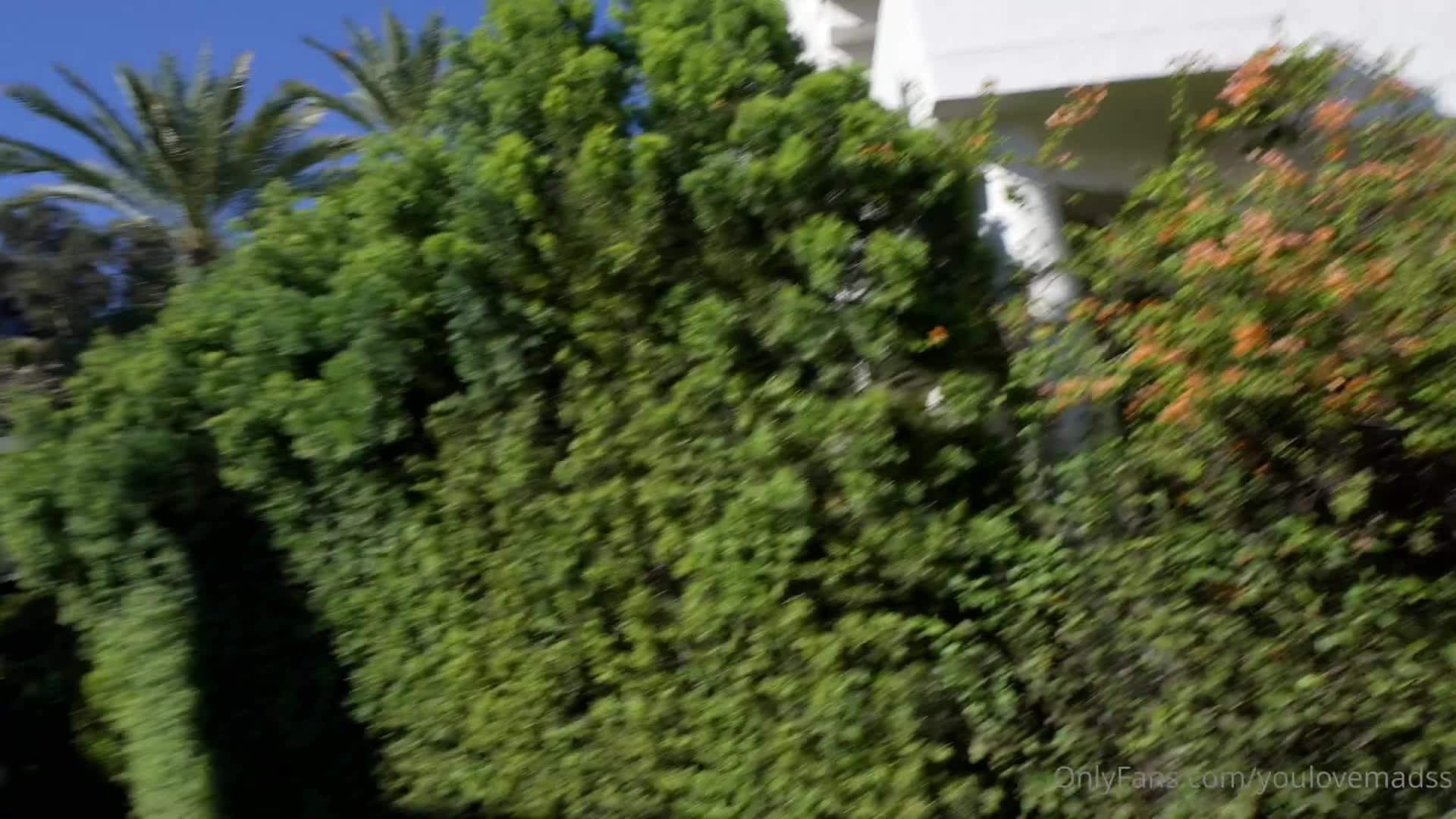Video 1603590 from youlovemads / cannakev