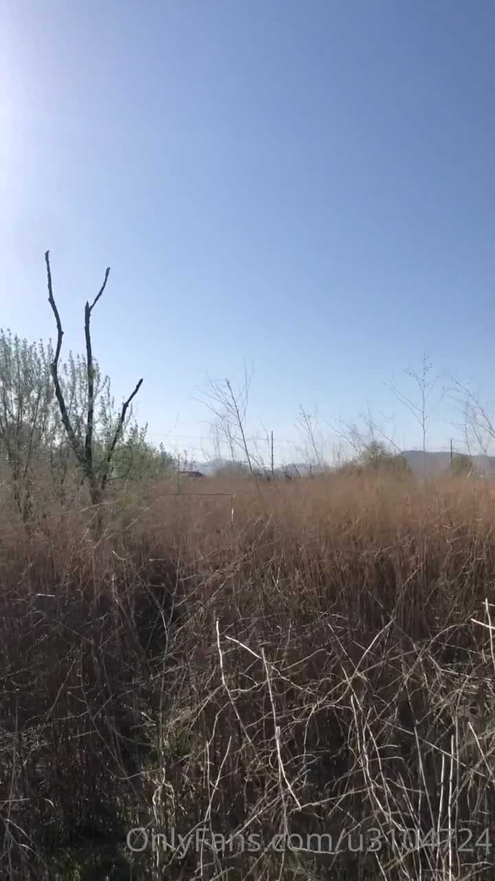 Video 1605286 from Ivy Wolfe