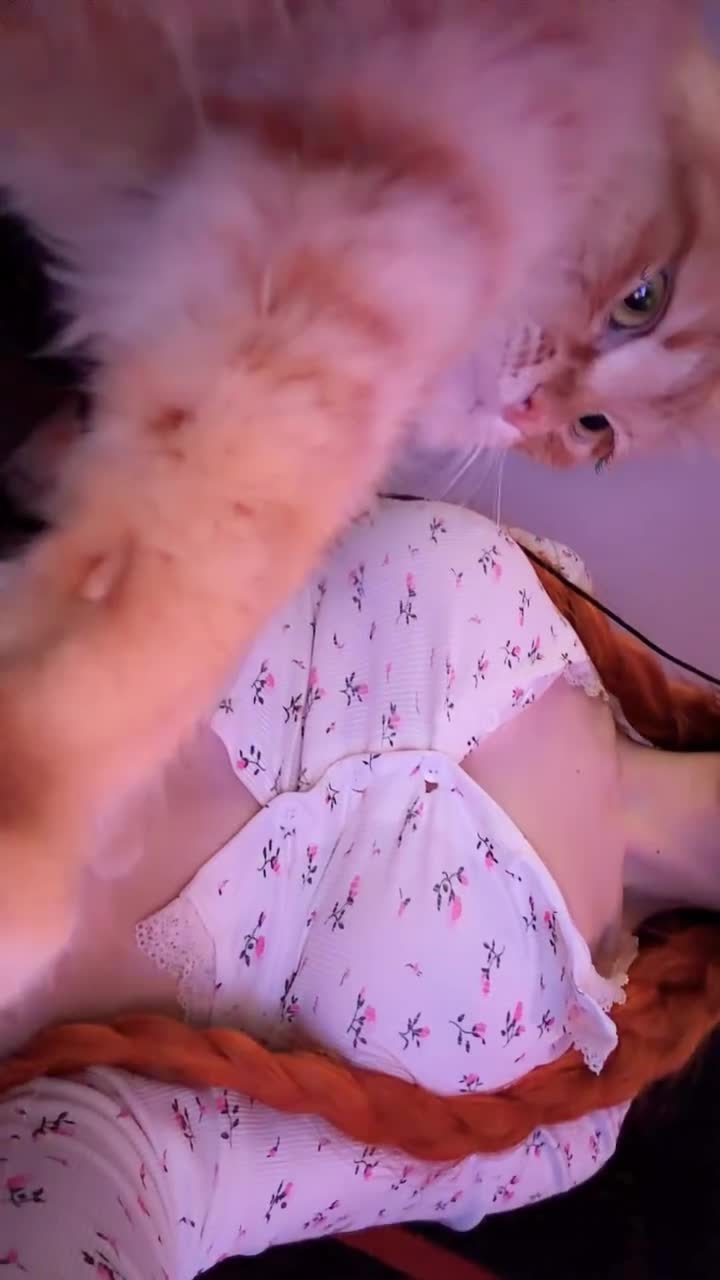 Video 1612970 from Naz - @fraaoula