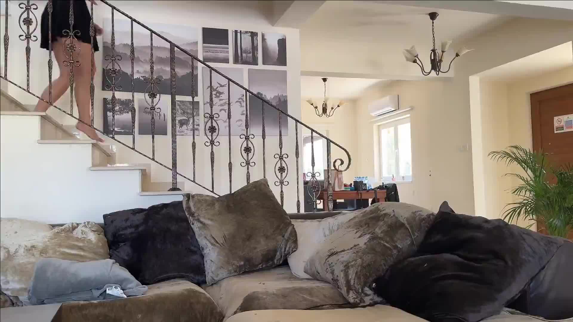 Video 1620011 from Anna Blum