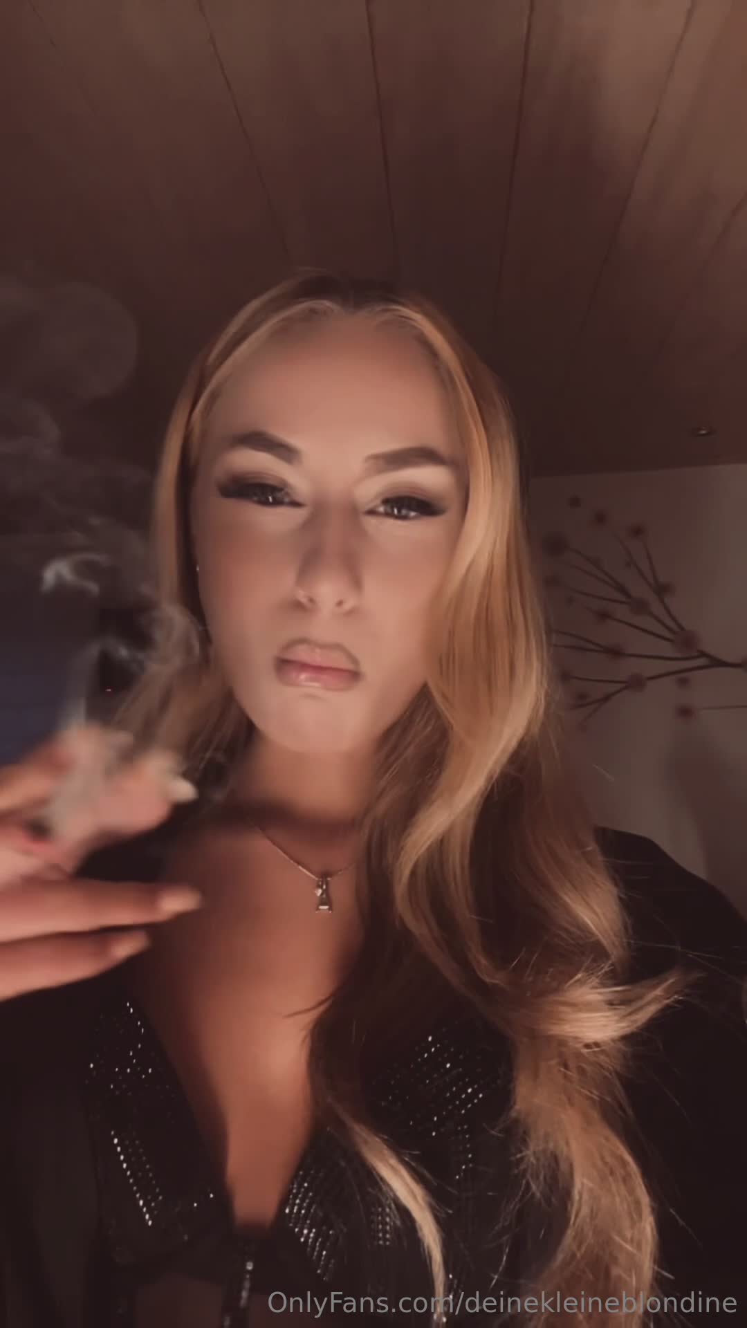 Video 1620223 from deinekleineblondine