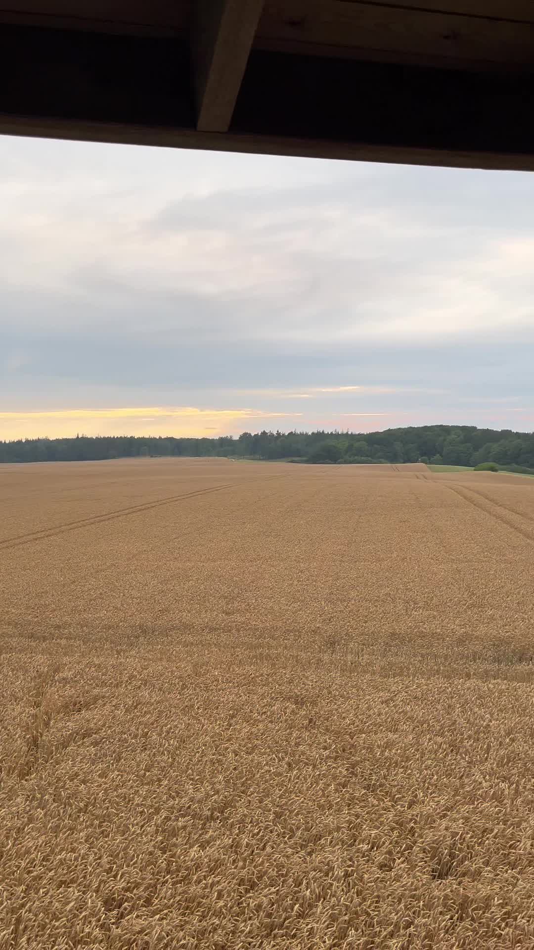 Video 1620227 from Markt.de Amateurinnen