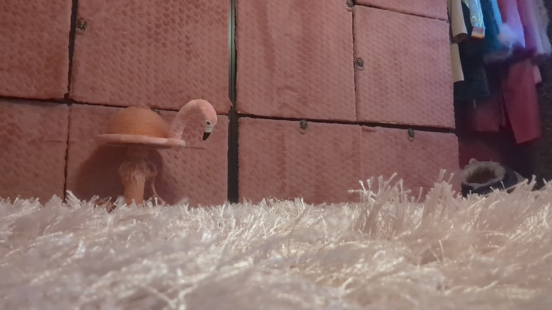 Video 1620865 from Markt.de Amateurinnen