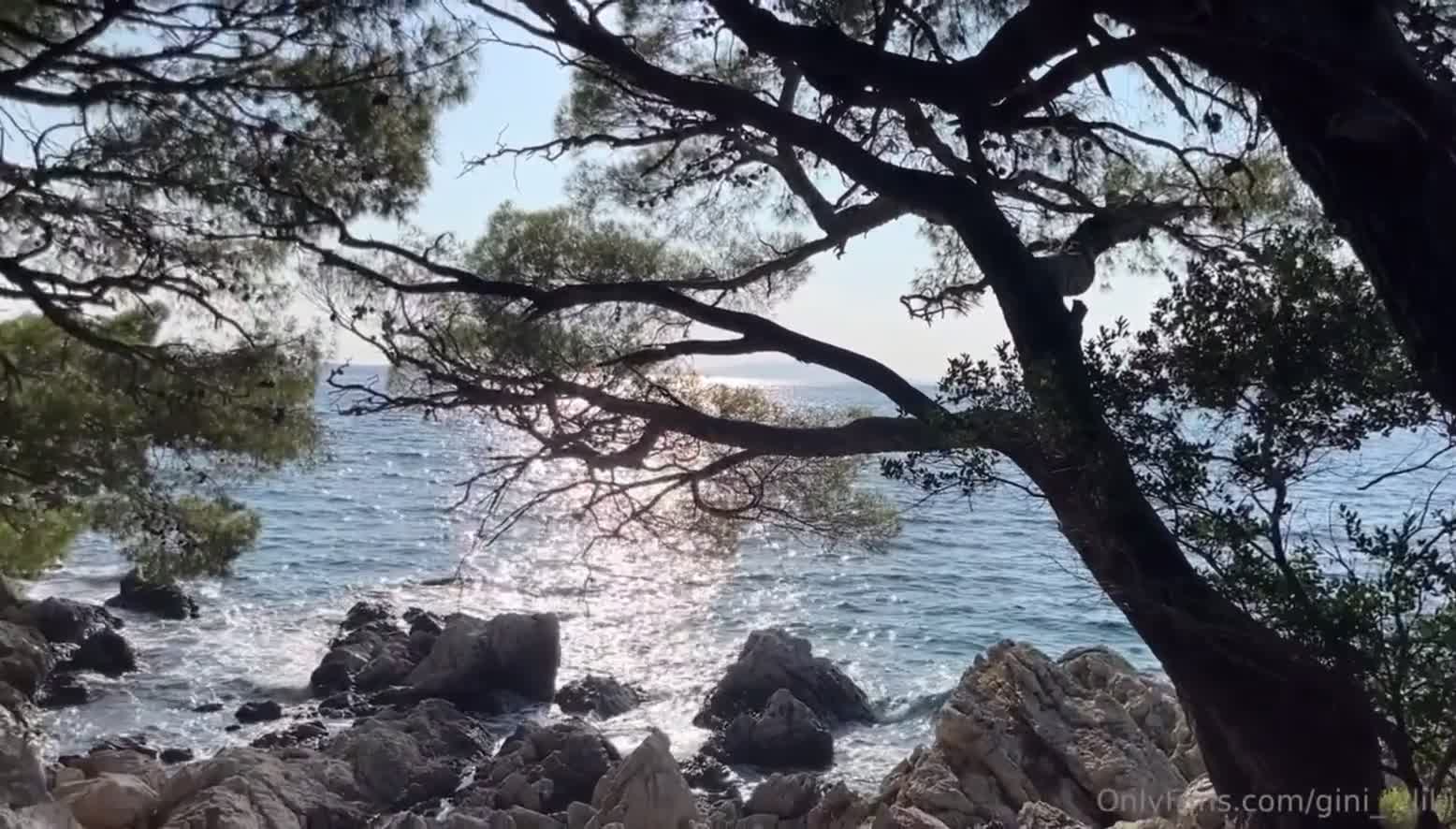 Video 1621062 from Sweetgini