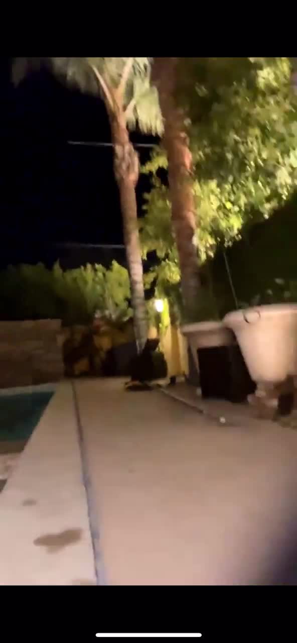 Video 3179 from Carrington Durham