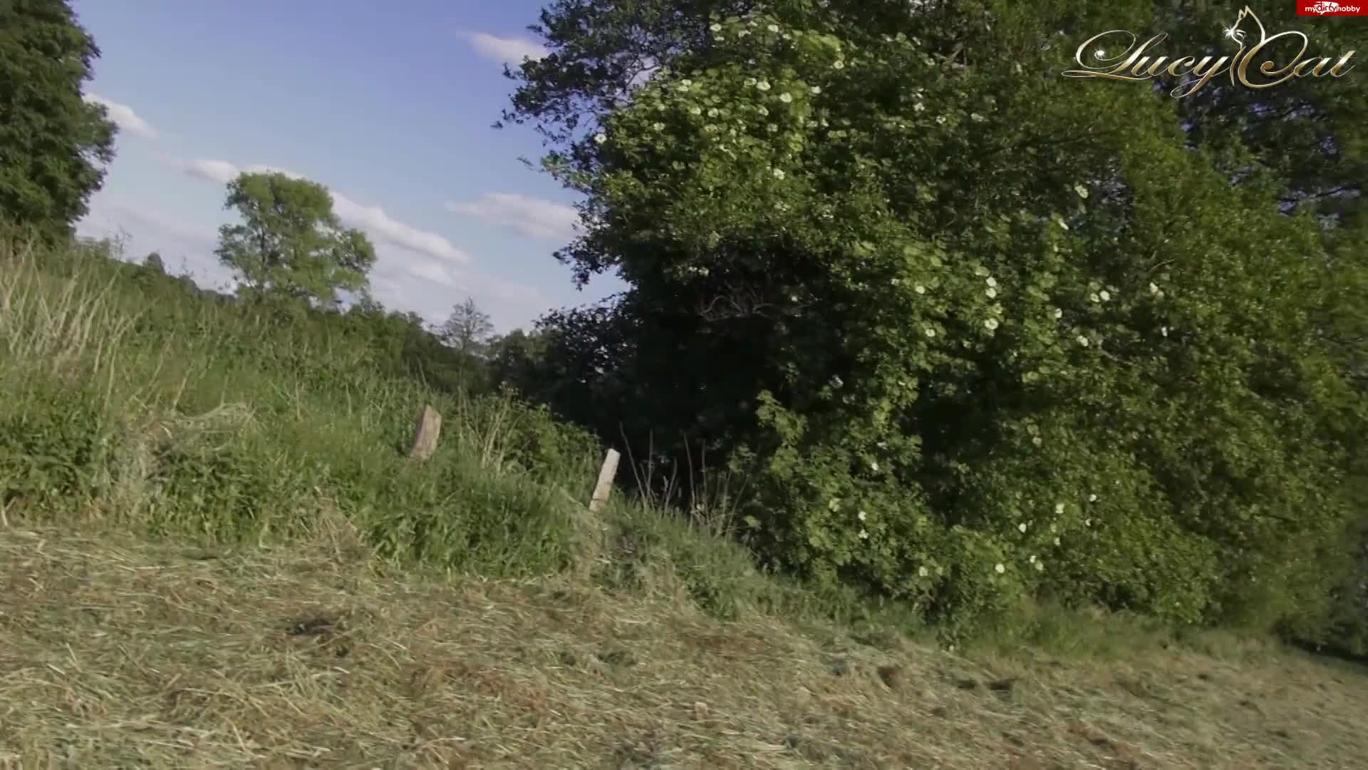 Video #1643757 thumbnail