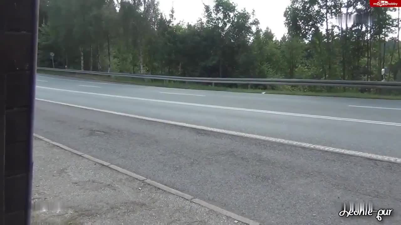 Video 1655903 from Leonie Pur