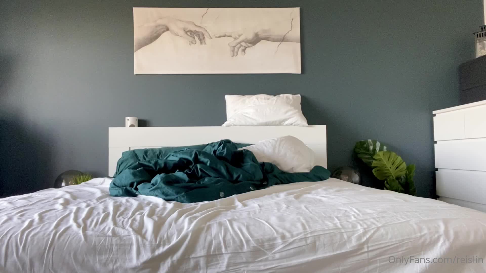 Video 10975 from Reislin