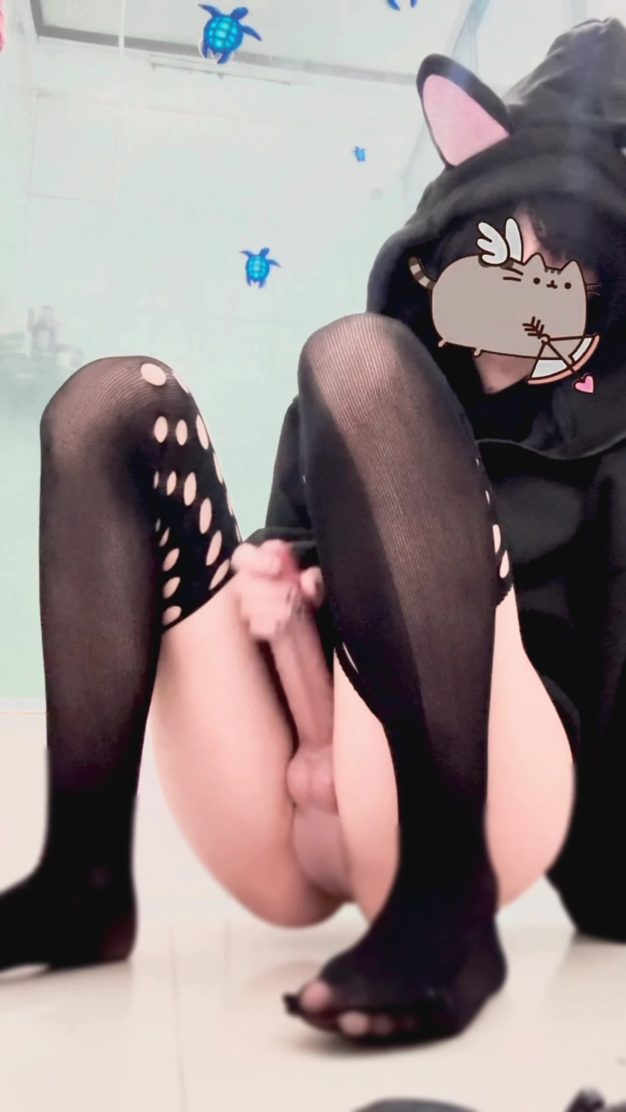 Video #1669006 thumbnail