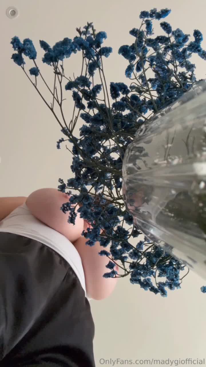 Video 1669061 from Mady Gio