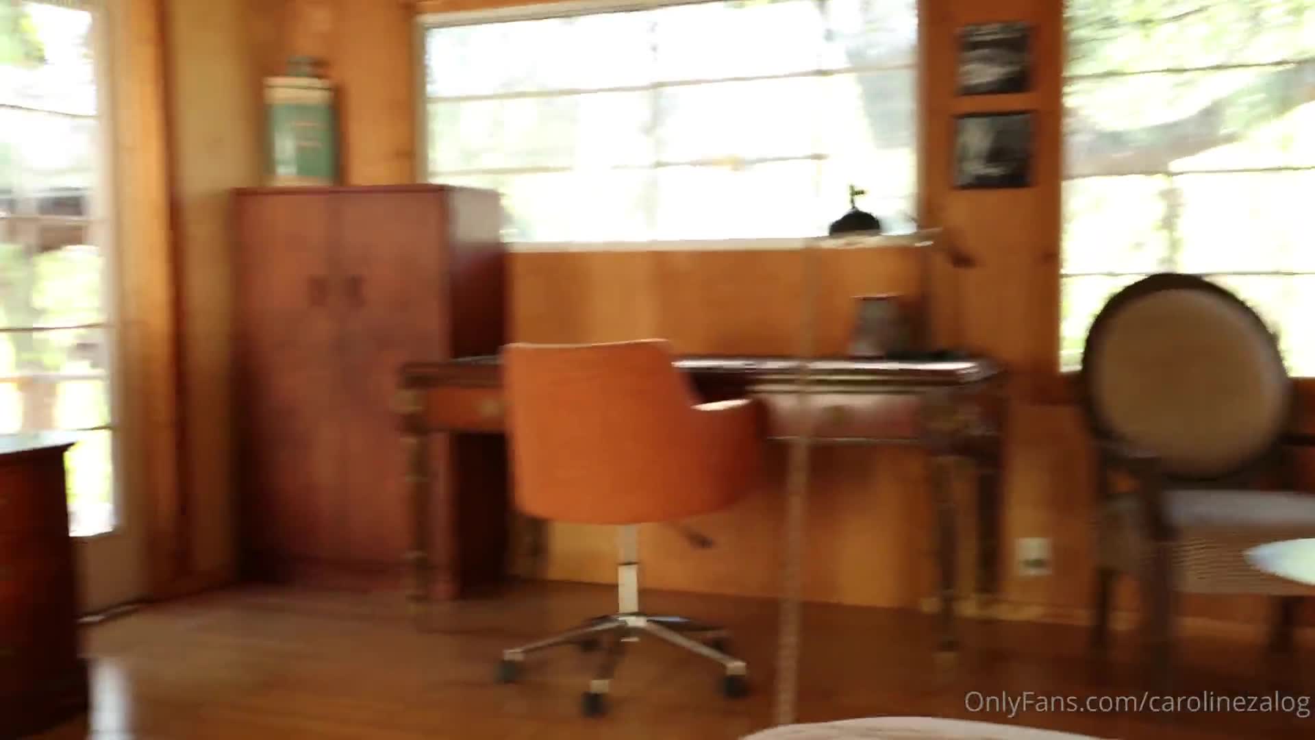 Video 1675037 from Caroline Zalog