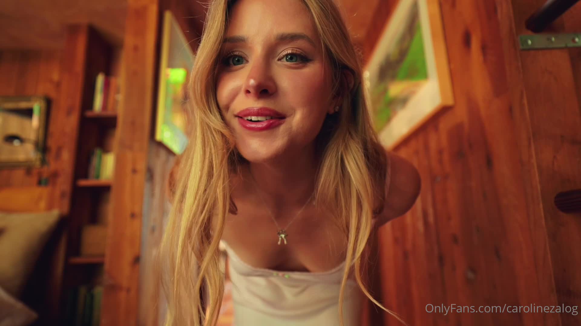 Video 1675384 from Caroline Zalog