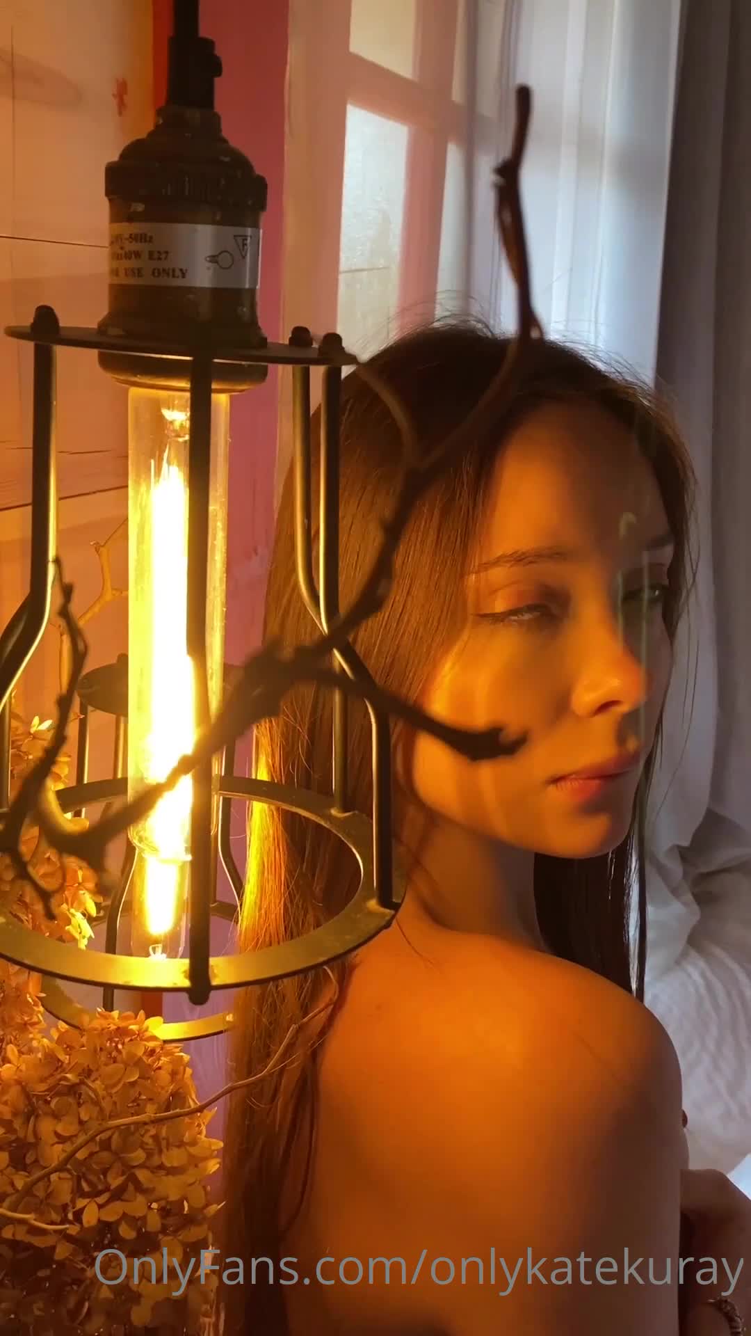 Video 1677031 from Kate Kuray
