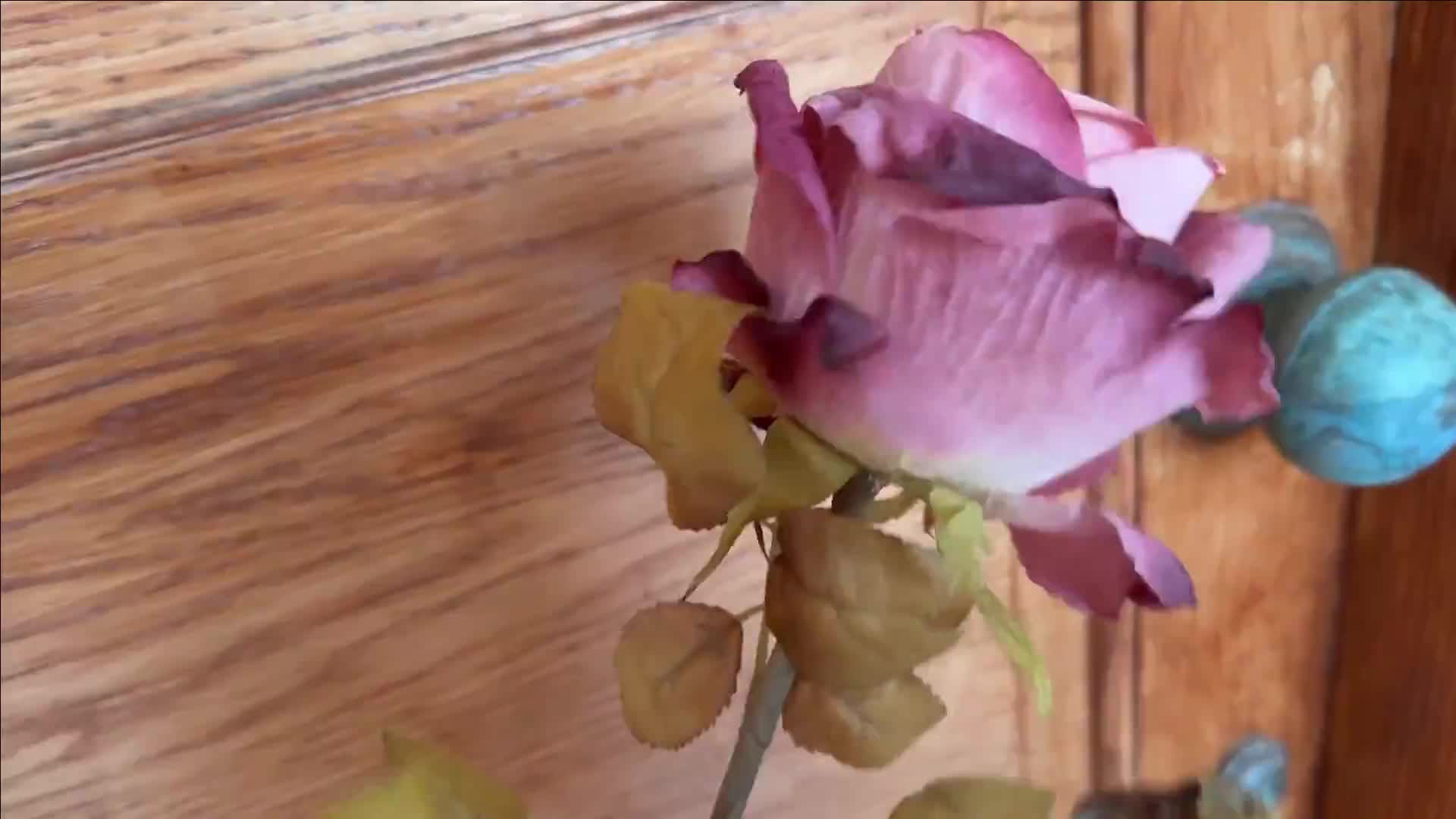 Video 1677846 from Emma Richter