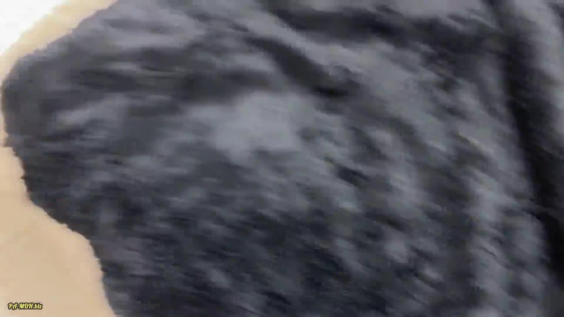 Video 1678276 from Emma Richter