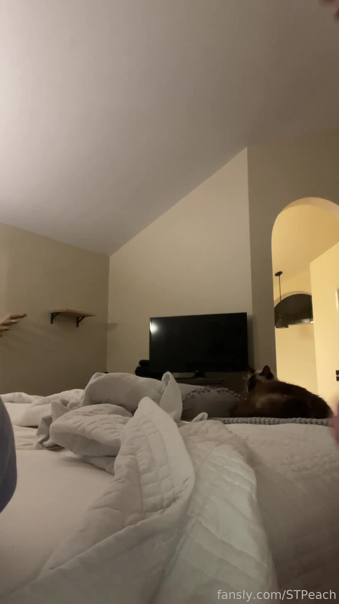Video 14876 from STPeach