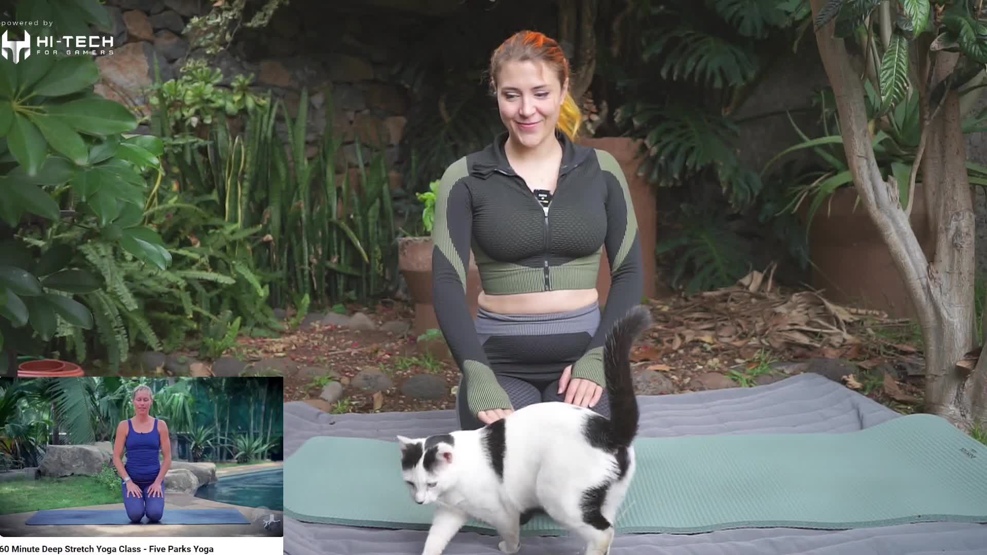 Video 16634 from Mowky