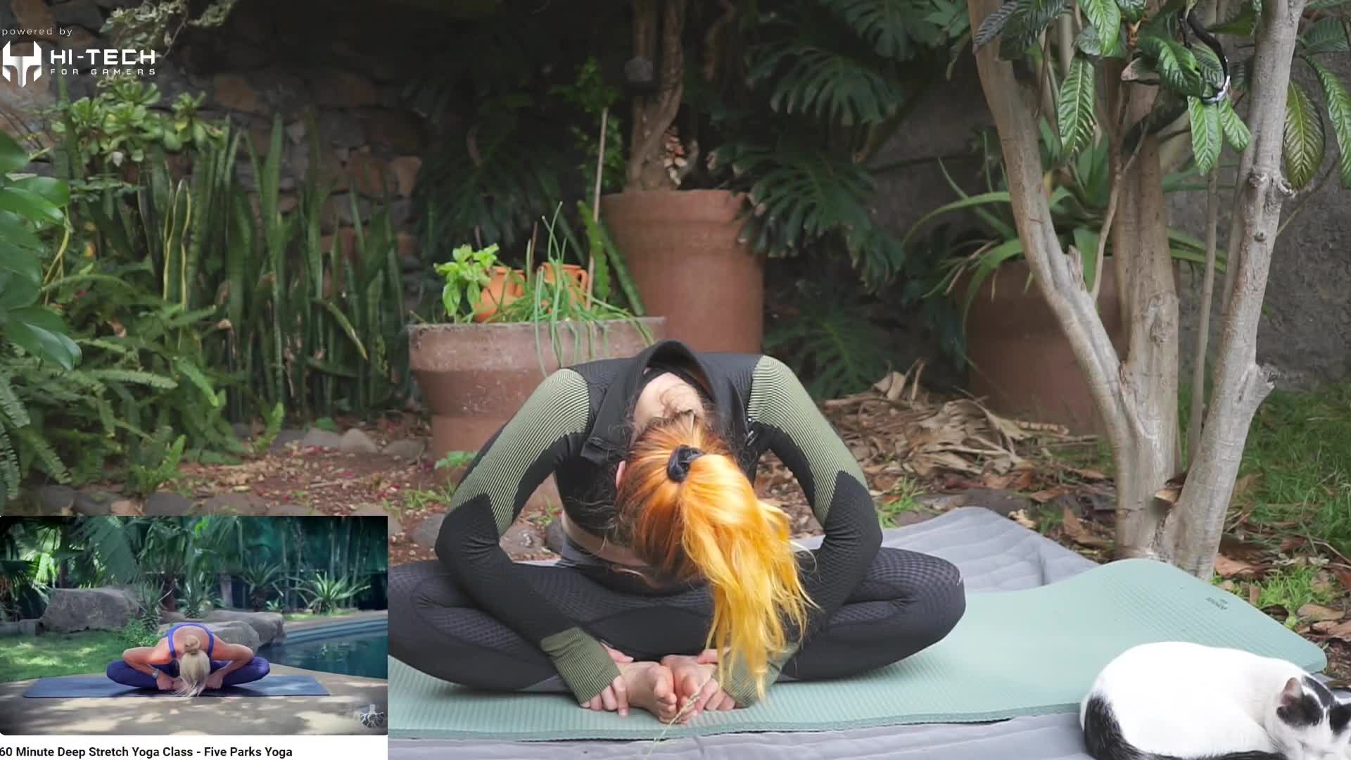 Video 16635 from Mowky