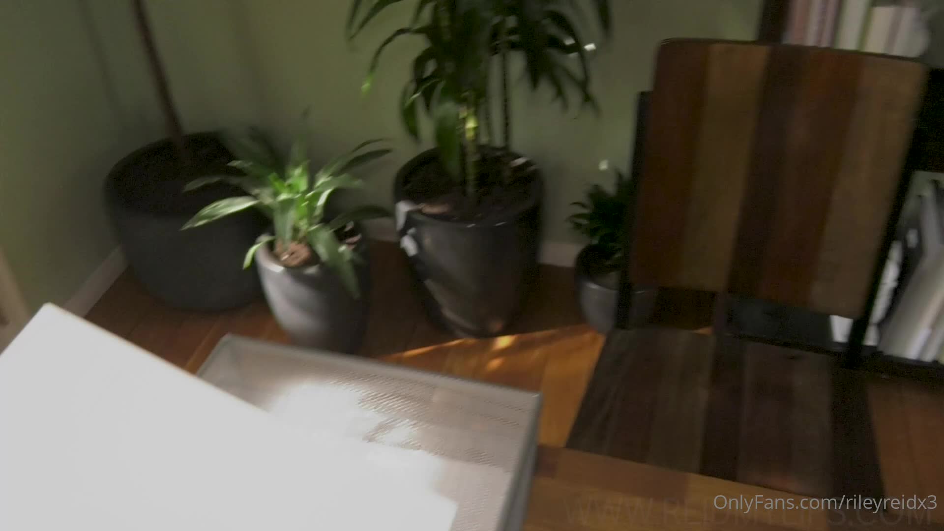 Video 16997 from Riley Reid