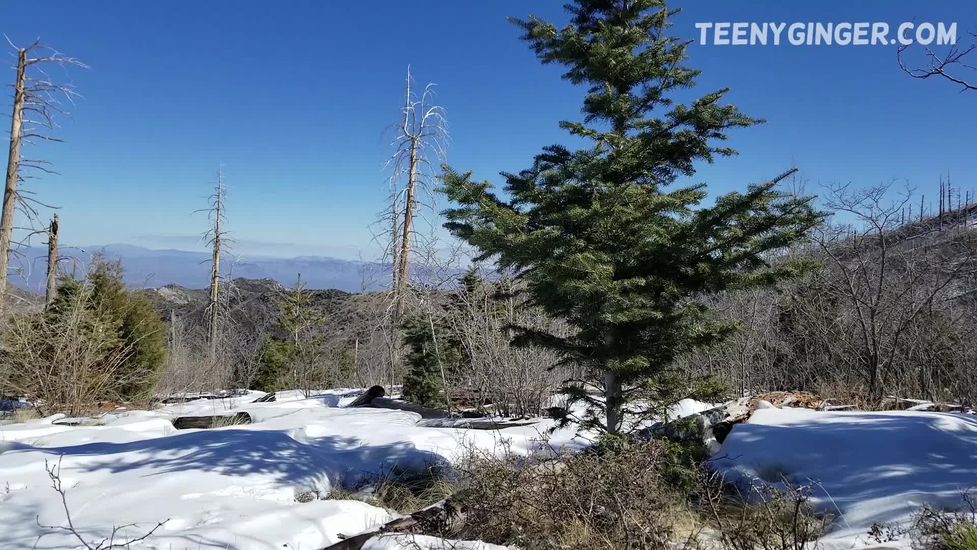 Video 17016 from TeenyGinger