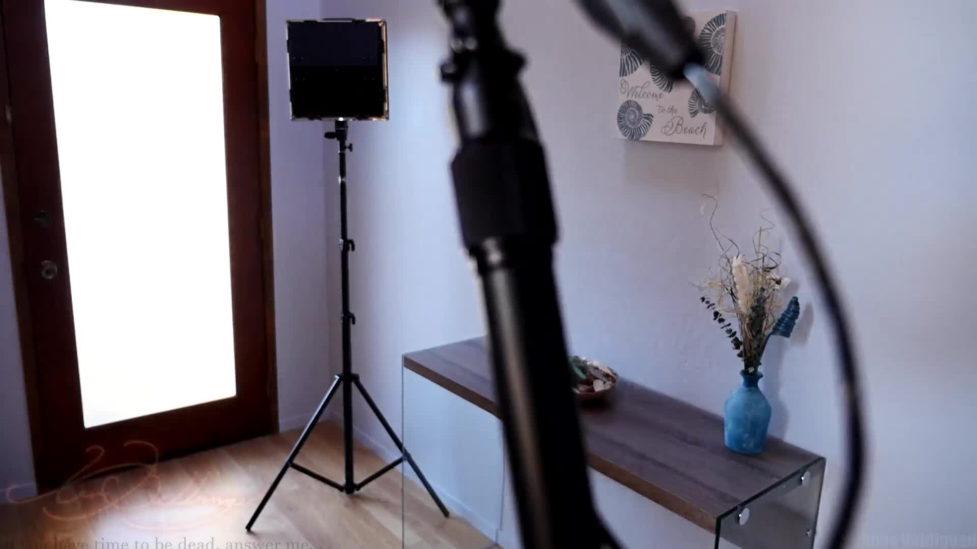 Video 17020 from Xev Bellringer