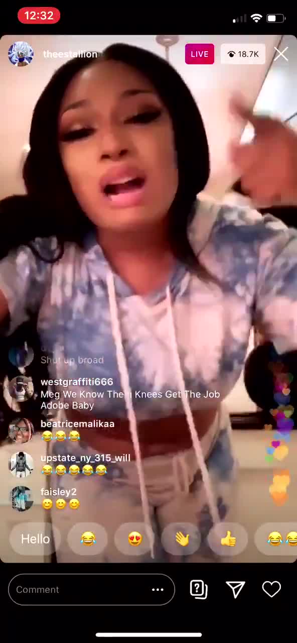 Video 17858 from Megan thee stallion