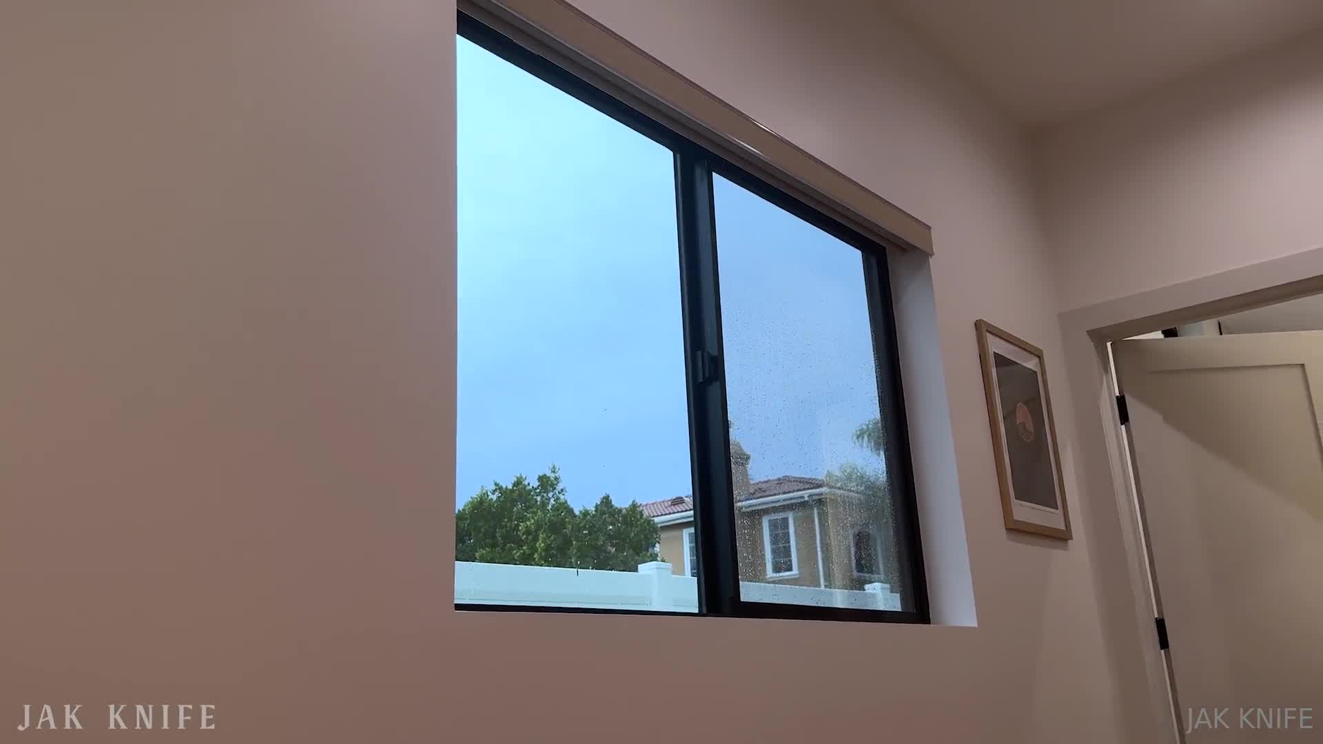 Video 18831 from Lillian Phillips