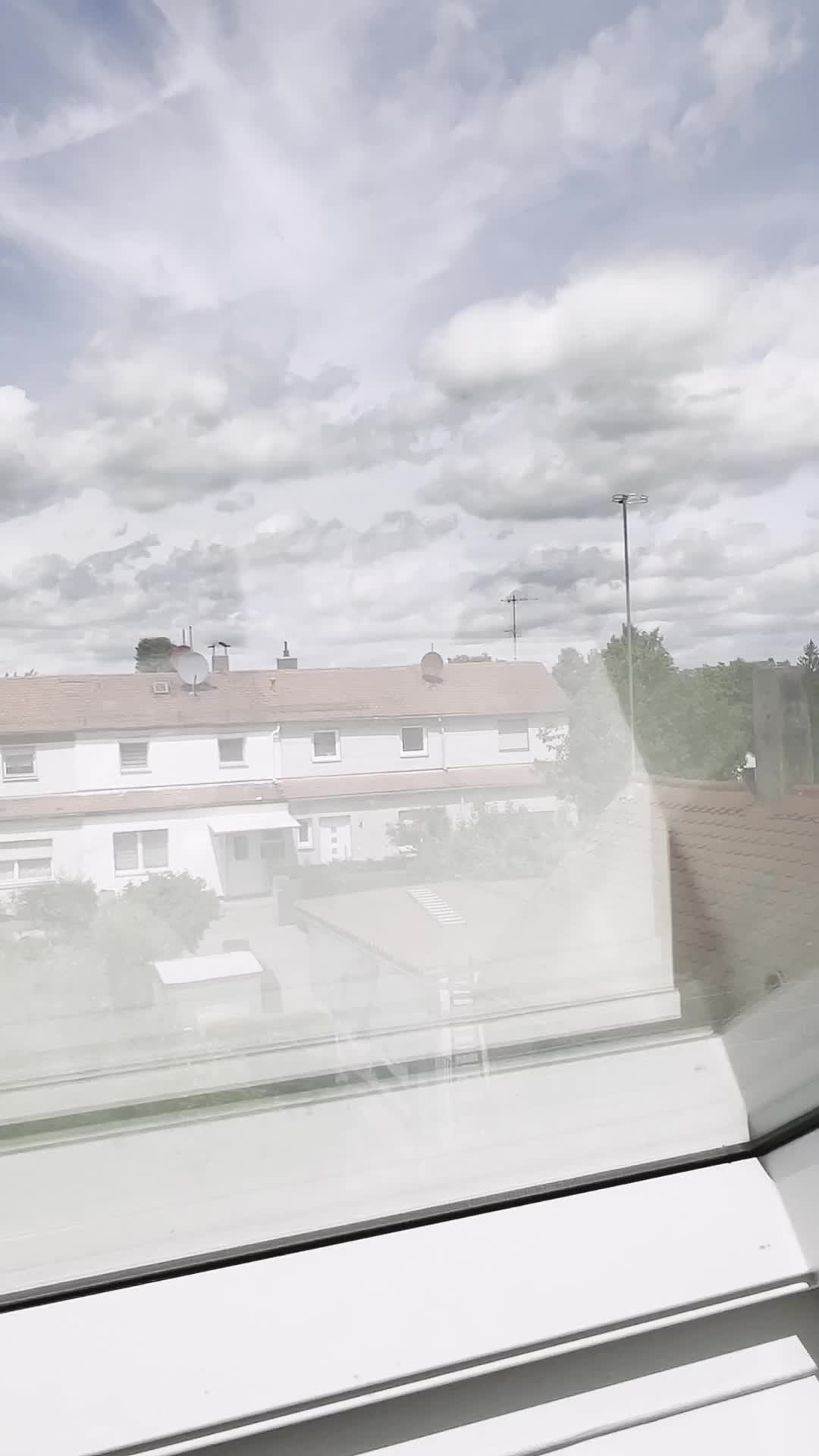 Video 19148 from Sabine d‘craine