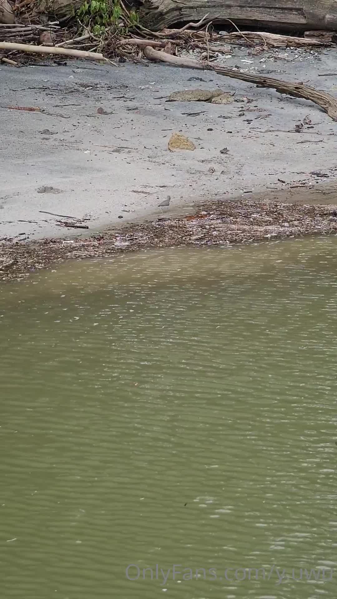 Video 19596 from yor.uwu