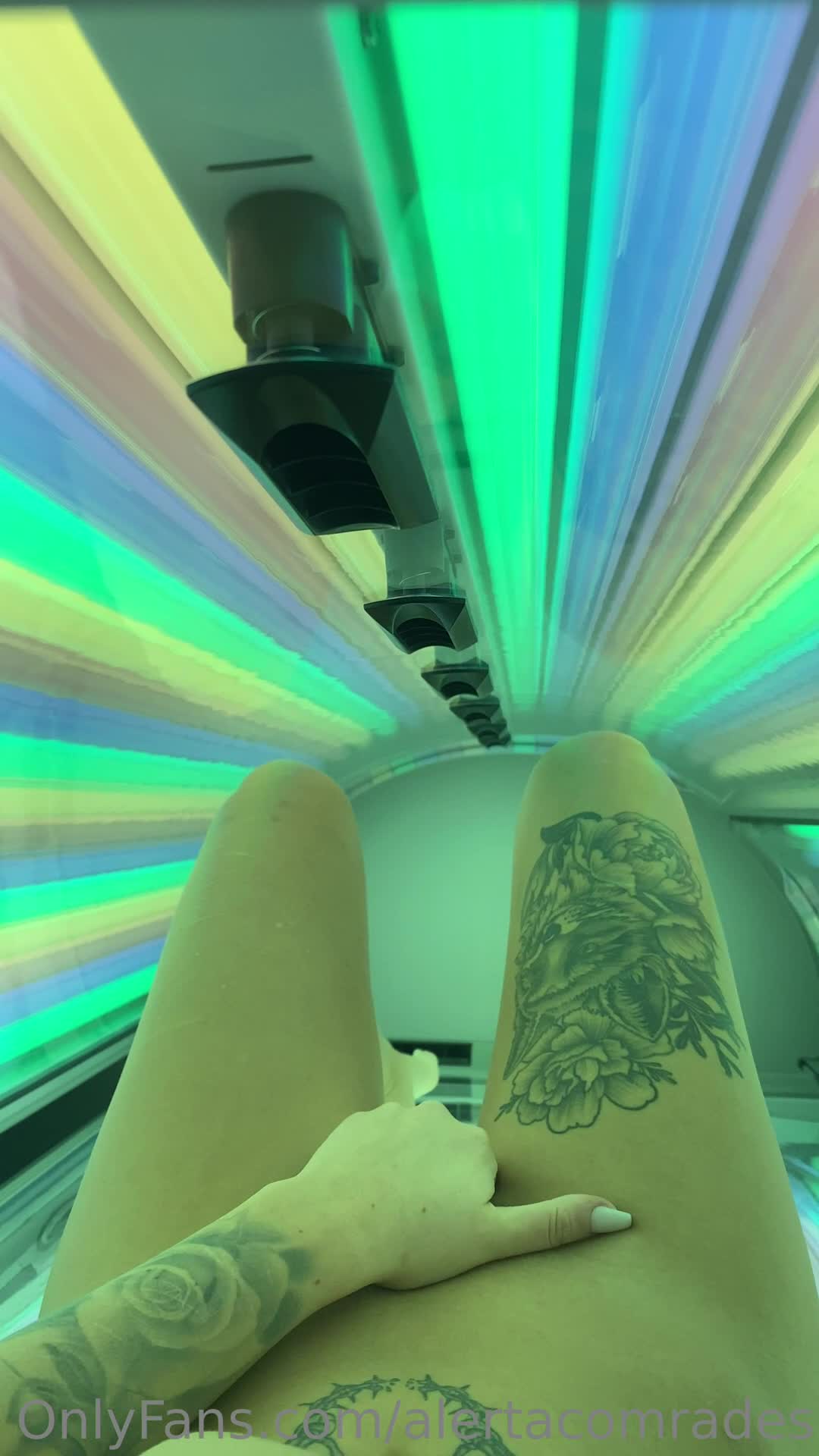 Video 21759 from alertacomrades