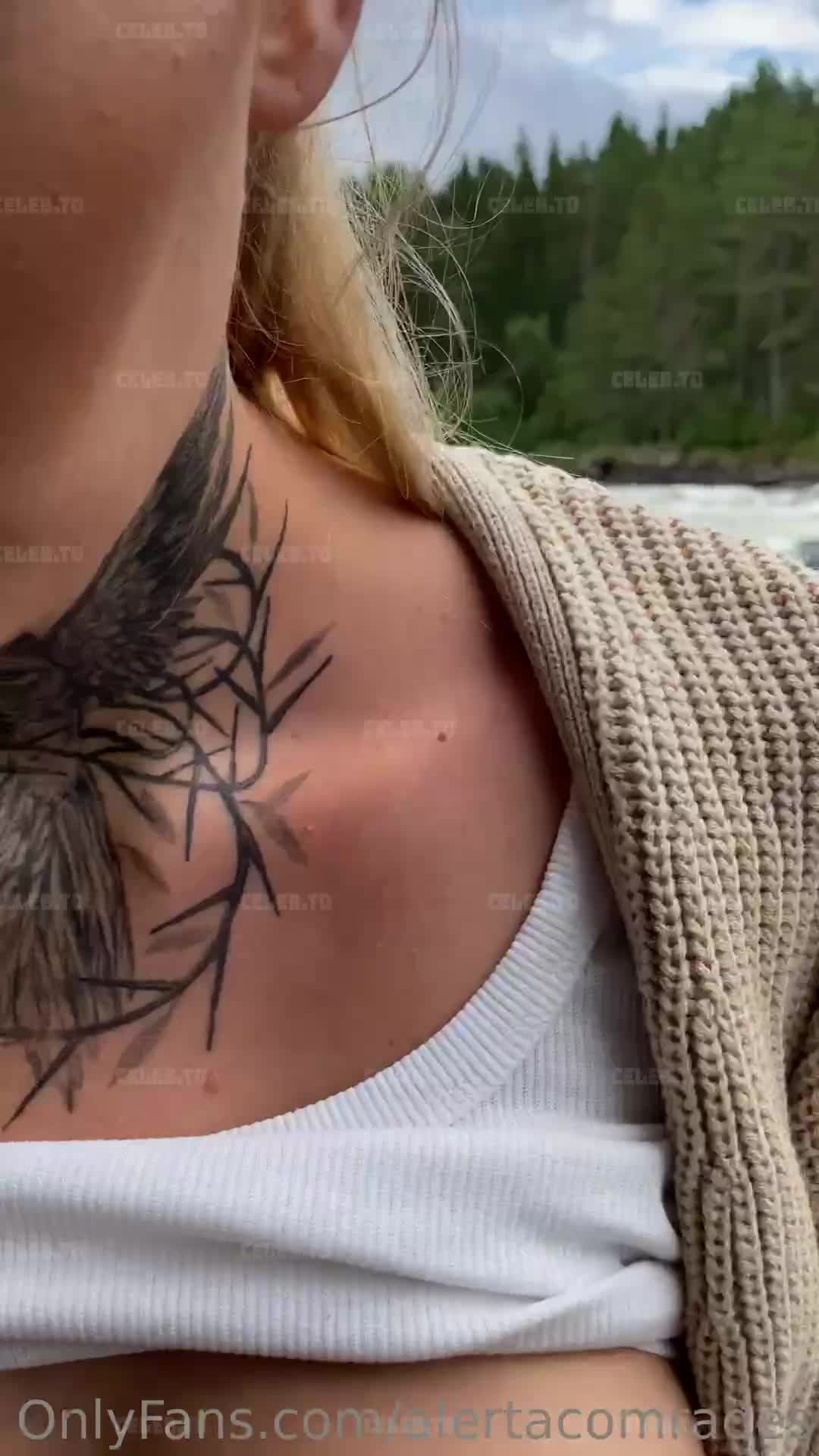 Video 21794 from alertacomrades