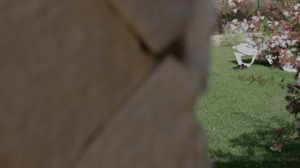 Video 22716 from Ramona_jst