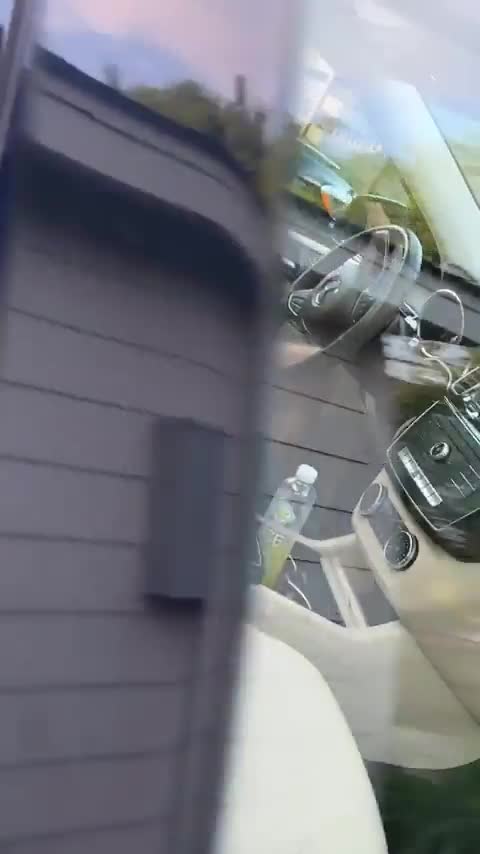 Video 24444 from Ali Lee